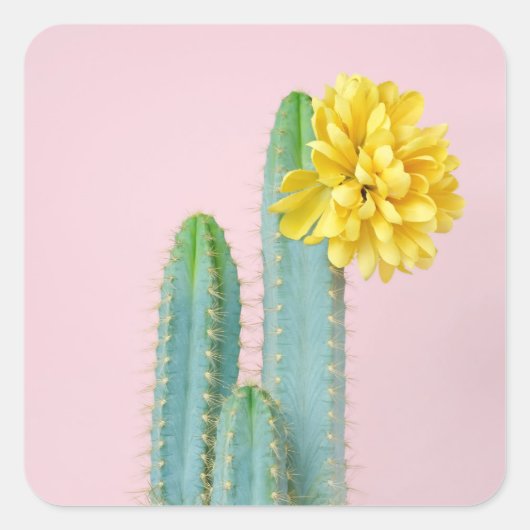Blue Cactus Trio Vierkante Sticker (Voorkant)