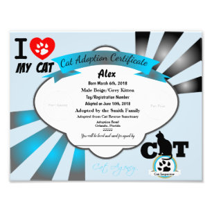 Blue  Cat Adoption Certificate Foto Afdruk