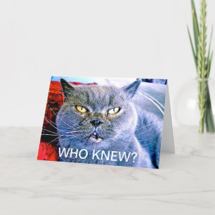 Blue Cat Kaart 60 jaar
