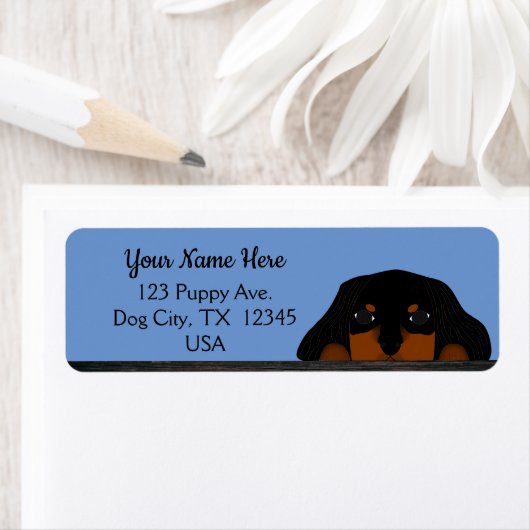 Blue Cavalier King Charles Spaniel Puppy Dog Etiket (Insitu)