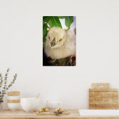 Blue Chick Poster (Keuken)