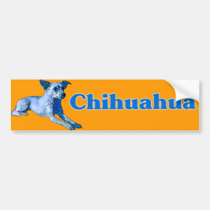 Blue Chihuahua Bumpersticker