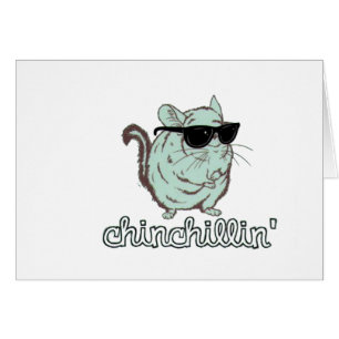 Blue Chinchillin Chinchilla