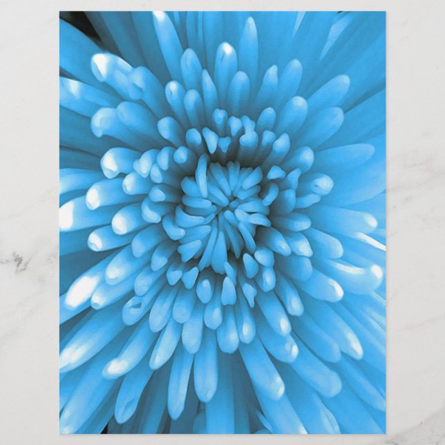 Blue Chrysanthemum (Voorkant)