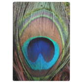 Blue Copper Peacock Feather Close-up Klembord (Achterkant)