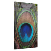 Blue Copper Peacock Feather Close-up Klembord (Rechts)