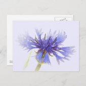Blue Cornflower Foto - Briefkaart (Voorkant / Achterkant)