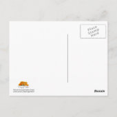 Blue Cornflower Foto - Briefkaart (Achterkant)