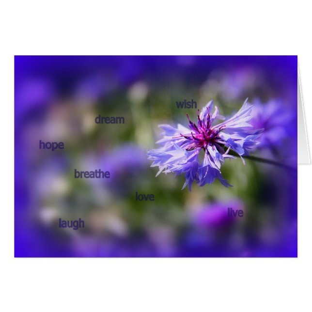 Blue cornflower kaart (Voorkant Horizontaal)