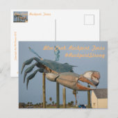 Blue Crab - Rockport, Texas Briefkaart (Voorkant / Achterkant)