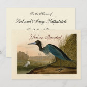 Blue Crane Heron Audubon Painting Kaart (Voorkant / Achterkant)