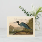 Blue Crane Heron Audubon Painting Kaart (Staand voorkant)
