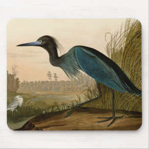 Blue Crane Heron Audubon Painting Muismat