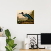 Blue Crane Heron Audubon Painting Poster (Thuiskantoor)