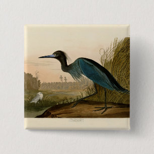 Blue Crane Heron Audubon Painting Vierkante Button 5,1 Cm