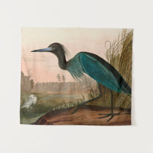 Blue Crane of Heron Birds of America Audubon Print Wandkleed