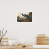 Blue Crane of Heron door Poster van Audubon (Keuken)