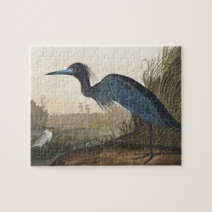 Blue Crane of Heron uit Amerikaanse vogels Legpuzzel
