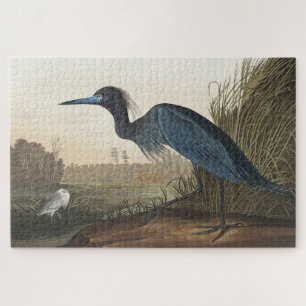 Blue Crane of Heron uit Amerikaanse vogels Legpuzzel