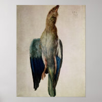 Blue Crow, 1512