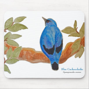 Blue Cuckooshrike Waterverf Bird Muismat