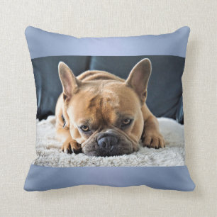 Blue Cute French Bulldog Cushion coussin