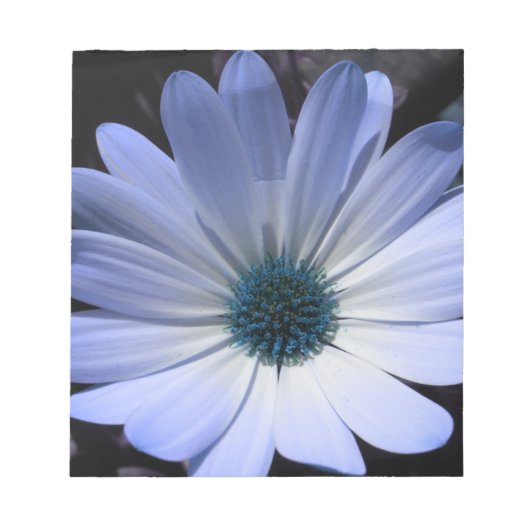 Blue Daisy Flower-laptop Notitieblok (Voorkant)