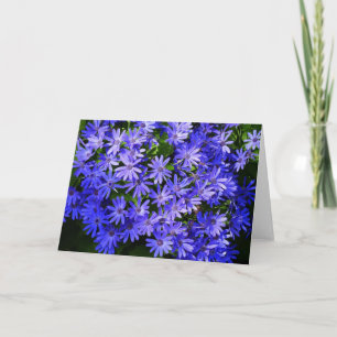 Blue Daisy-like Flowers Natuur Fotografie Kaart