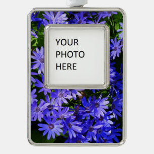 Blue Daisy-like Flowers Natuur Fotografie Verzilverd Kader Ornament