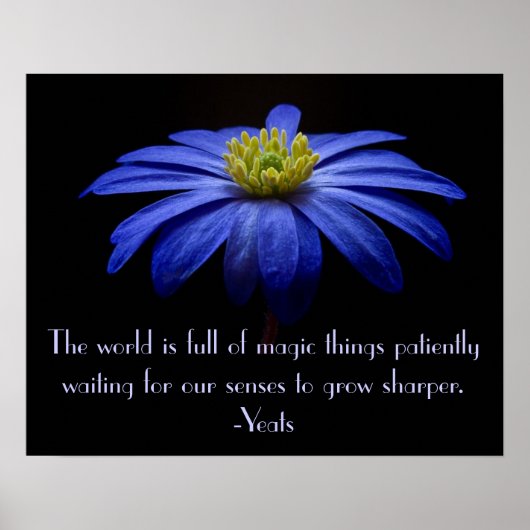 Blue Daisy met Yeats Quote Poster (Voorkant)
