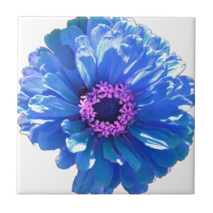 Blue Daisy Tegeltje
