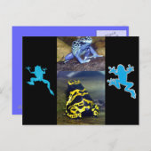 BLUE DART FROG BRIEFKAART (Voorkant / Achterkant)