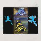 BLUE DART FROG BRIEFKAART (Voorkant)