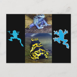 BLUE DART FROG BRIEFKAART