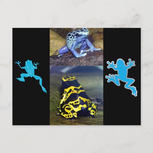 BLUE DART FROG BRIEFKAART (Voorkant)