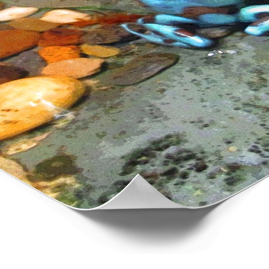 Blue Dart Frog CB Poster (Hoek)