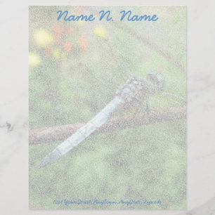 Blue Dasher Dragonfly Items Letterhead Briefhoofd