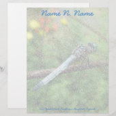 Blue Dasher Dragonfly Items Letterhead Briefhoofd (Voorkant / Achterkant)