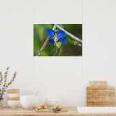 Blue Dayflower Twins Fuir les liens Poster (Cuisine)