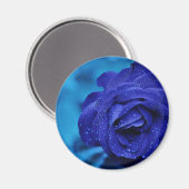 Blue Dewdrop Roos Magneet (Voorkant / Achterkant)