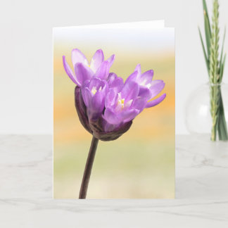 Blue Dick Wildflower Kaart