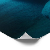 Blue Discus Fish Aquarium Fish Tank Art Poster (Hoek)