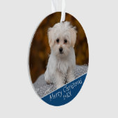 Blue Dog Animaux de compagnie Photo Noël Keepsaké (devant)