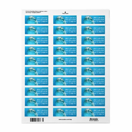 Blue Dolphin Return Label (Full Sheet)