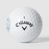 Blue Dolphin Specialized Golf Balls Golfballen (Logo)