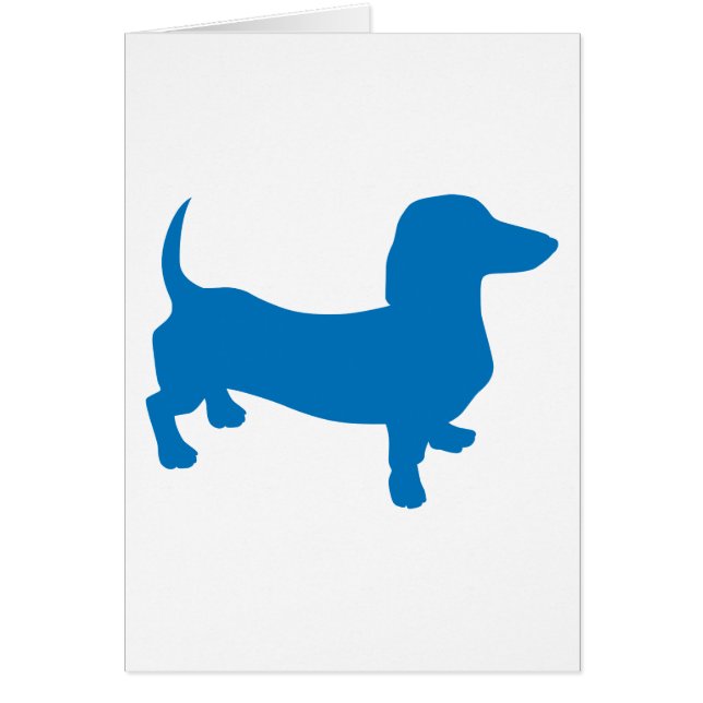 Blue Doxie, Dachshund (Voorkant)