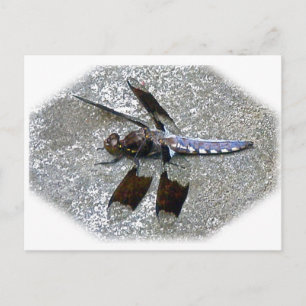 Blue Dragonfly Briefkaart