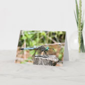 Blue Dragonfly Groet Kaart (Voorkant)