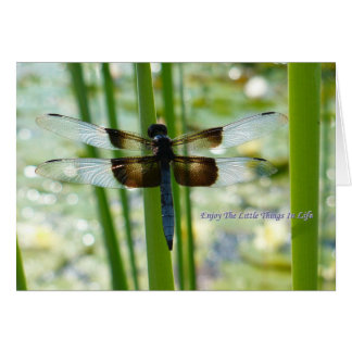 Blue Dragonfly-kaart