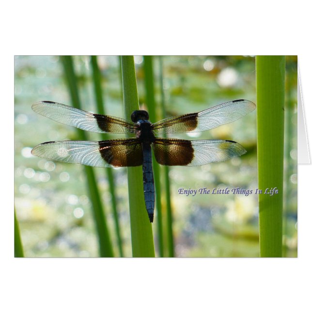 Blue Dragonfly-kaart (Voorkant Horizontaal)
